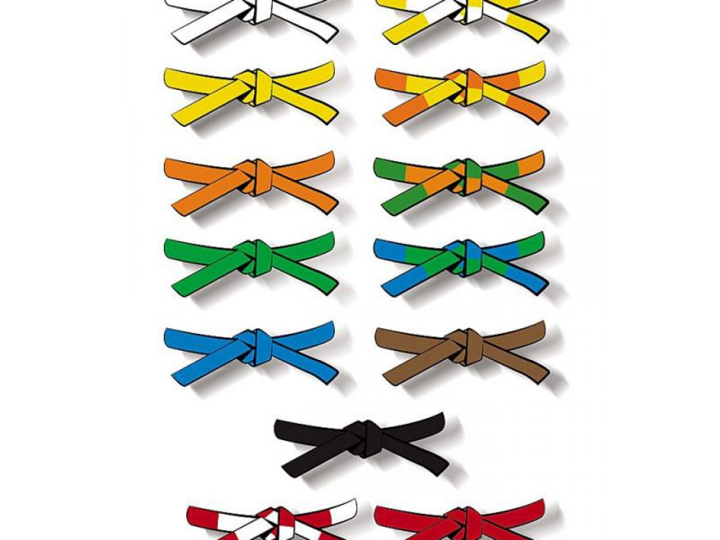 Image de l'actu 'Passage de grades dojo guerchais.'